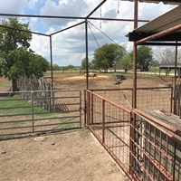 Holding Pen Gates